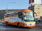 Ittsa Bus (Per�) 212