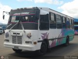 A.C. Transporte Aguas Calientes 96
