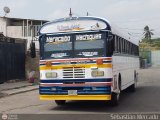 Colectivos Perij 14