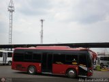 A.C. de Trans. Vencedores de Montalban 21, por Aly Baranauskas