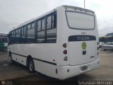 A.C. de Transporte Larense 29, por Sebastin Mercado