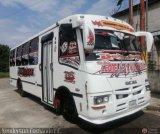 A.C. Transporte Paez 040, por Yenderson Fernndez C.