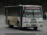Expresos La Popular 13