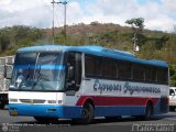 Expresos Bayavamarca 101, por J. Carlos Gmez