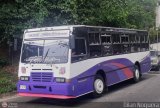 Transporte Privado Joaranny 031