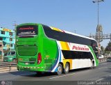 Expreso Internacional Palomino 8013