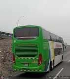 Expreso Internacional Palomino 7048