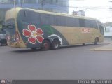 Transporte Flores Hermanos S.R.L (Per) 959