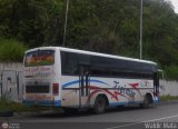 Transporte Ejecutivo Freimar