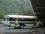 A.C. Lnea San Rafael