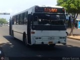 ZU - Colectivos Coraz�n de Jes�s 10