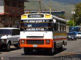 MI - Cooperativa Futuro de Gueime R.L. 29, por J. Carlos Gmez