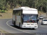Unin Conductores Ayacucho 1064, por Pablo Acevedo