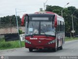 Bus CCS