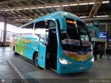 Buses Madrid (Chile)