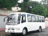 Transporte Privado Basti Tours 96, por Miguel Pino