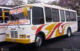A.C. Portuguesa 366