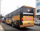 Cetur S.R.L. 958, por Leonardo Saturno