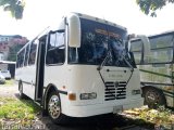 A.C. Transporte Paez 044, por FREYBER JOSNEY