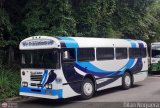 Transporte Privado Joaranny 191, por Dilan Noguera