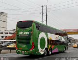Oltursa (Per) 590