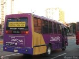 La Wawa 2050, por Miguel Pino