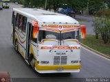 AR - Lnea Acotramora 23, por Royner Tovar