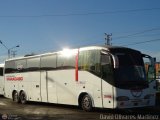 Expresos Maracaibo 2016, por David Olivares Martinez