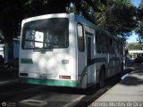 MI - Transporte Paran 005
