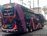 Way Bus (Per) 954
