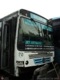 DC - Autobuses de El Manicomio C.A