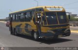 ZU - Colectivos Concepcin 049