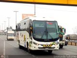 Empresa Peruana Pendiente 953