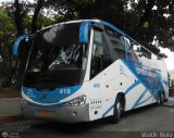 Expresos Amerlujo 419