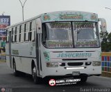 Cooperativa Canaima 12