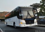 Expresos Pegamar 1011, por Alvin Rondn