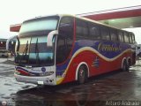 Expresos Occidente 344