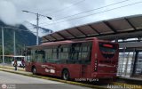 Trolmerida - Tromerca MER-991, por Andrs Figuera