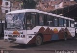 Excarguaica