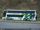 Expresos Flamingo 0054, por Royner Tovar