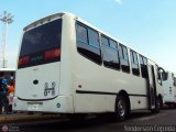 A.C. Transporte Paez 076