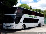 Expresos Flamingo 0090