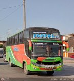 Turismo Internacional Pampas (Per)