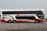 Expresos Occidente 393