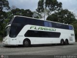 Expresos Flamingo 0087, por Leonardo Saturno