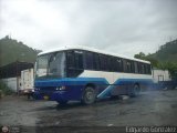 Particular KG-0210, por Edgardo Gonzlez