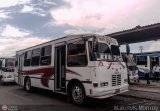 S.C. Valle de Qu�bor 02 por Maikelvis Monroy