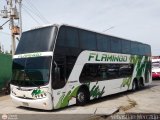 Expresos Flamingo 0061, por Sebastin Mercado