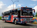 Expresos Pegamar 0010