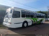 Transporte Choferes Unidos 12, por Santiago Cedeo